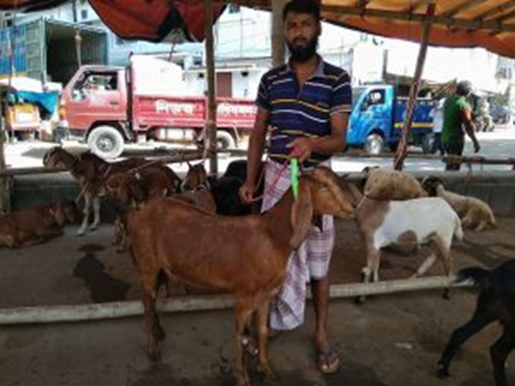 চট্টগ্রামে এখনো জমেনি ছাগলের হাট