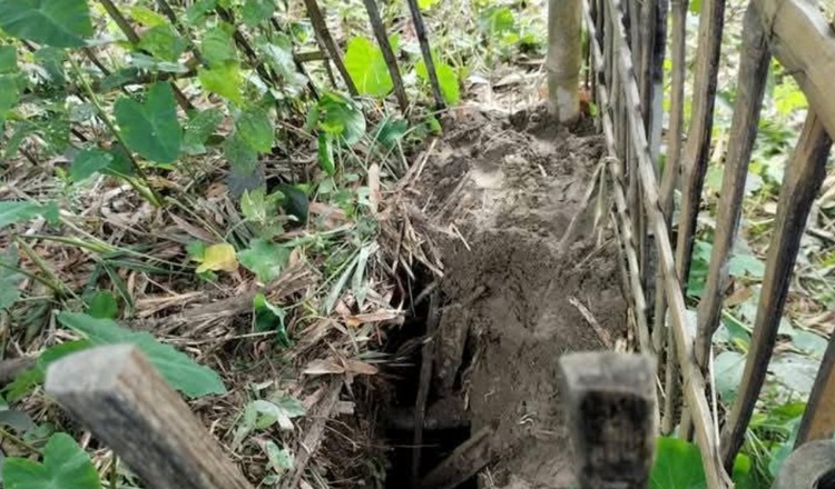 পঞ্চগড়ে কবরের মাটি খুঁড়ে ৫ কঙ্কাল চুরি