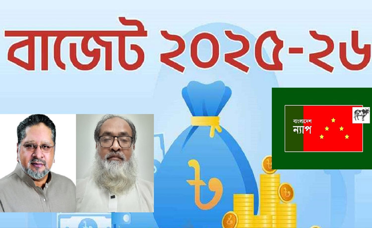 আকার কমলেও গুণগত পরিবর্তন নাই: ন্যাপ