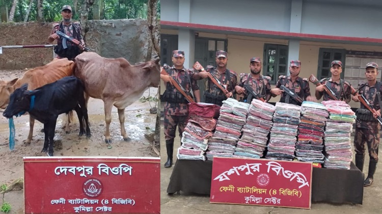 ফেনী সীমান্তে ভারতীয় শাড়ি-লেহেঙ্গা জব্দ, আটক ১৭৩টি গরু  