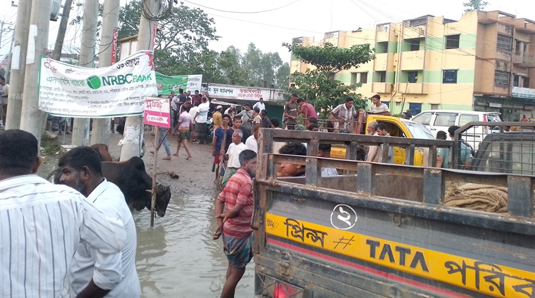 নবীগঞ্জে রাস্তার পাশে পশুর হাট, জনদুর্ভোগ চরমে