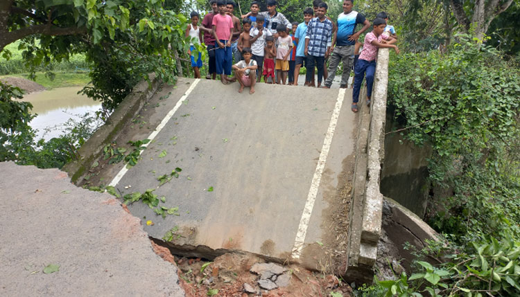 সালথায় ব্রিজ ভেঙে পড়ায় জনদুর্ভোগ চরমে 