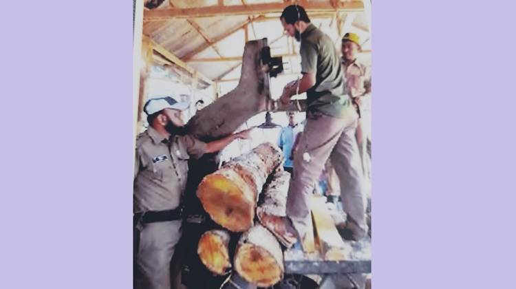 কুলাউড়ায় সমিল মালিকের কোটি টাকার ক্ষতি!