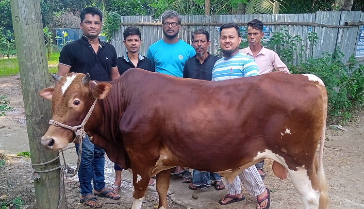 আখাউড়ায় দুস্থদের জন্য যুবকদের ব্যতিক্রমি কোরবানীর আয়োজন