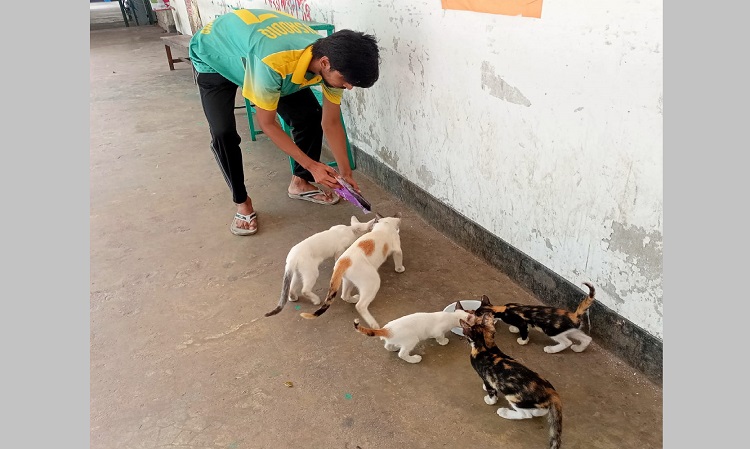 বন্ধ ঢাবি ক্যাম্পাসে ক্ষুধার্ত বিড়ালের পাশে দাঁড়ালেন মুসাদ্দিক