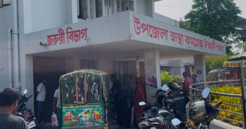 সড়কের পাশে লিচু কেনার সময় মা-মেয়েসহ নিহত ৩, আহত ১