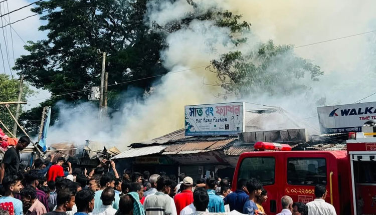 হরিরামপুরে ভয়াবহ অগ্নিকান্ডে ৩টি দোকান পুড়ে ছাই
