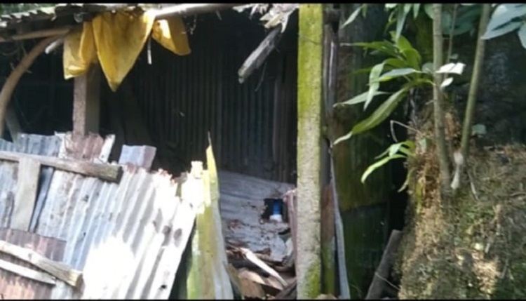 কে দিল পিরিতের বেড়া লিচুরও বাগানে; গীতিকারের নেই ঘর-বাড়ি