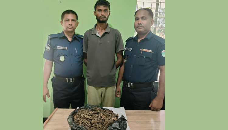 রূপসায় অভিযান চালিয়ে গাঁজাসহ যুবক গ্রেফতার
