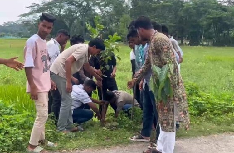 বাউফলে উপজেলা ছাত্রদলের উদ্দ্যোগে বৃক্ষরোপন