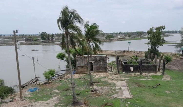 ড. ইউনূসের গ্রামীণ মৎস্য ঘেরে ডাকাতি, আহত ৪ কর্মচারী