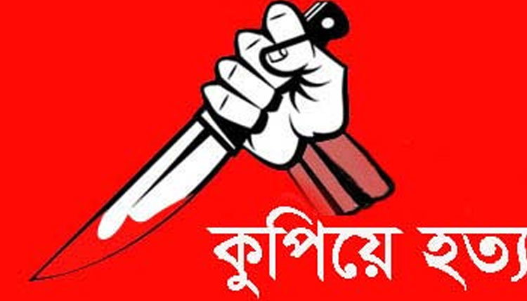 রায়পুরে মাদকাসক্ত ছেলের হাতে বাবা খুন 