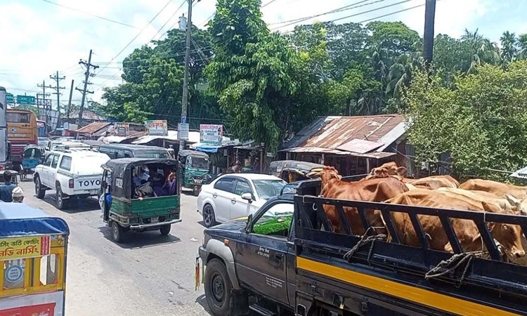 গৌরনদীতে ৩ কিলোমিটার তীব্র যানজট