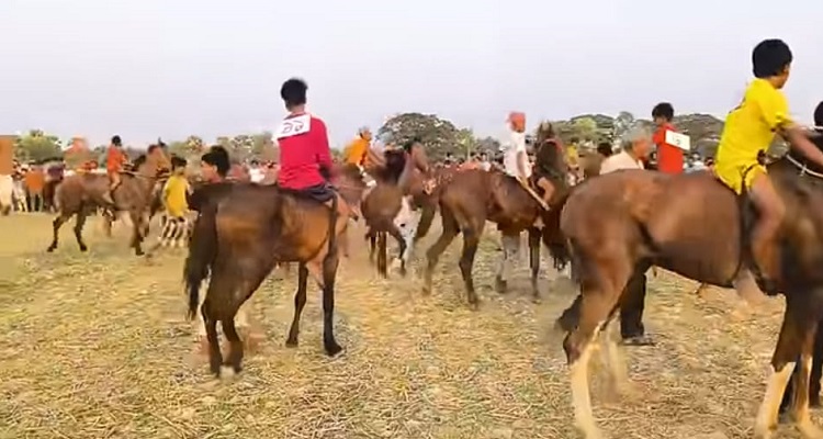 শ্যামনগরে গ্রাম বাংলার ঐতিহ্যবাহী ঘোড়-দৌড় প্রতিযোগিতা