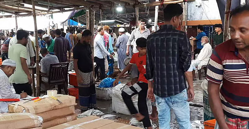 ফের সরগরম বাগেরহাট মৎস্য আড়ত