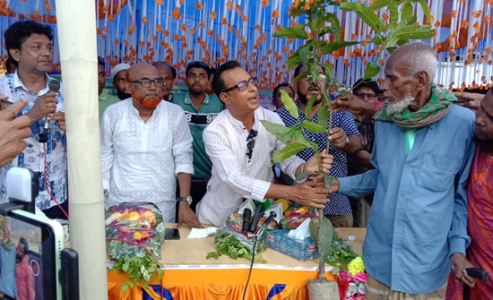 মান্দায় বিএনপির উদ্যোগে মাসব্যাপী বৃক্ষরোপণ কর্মসূচি