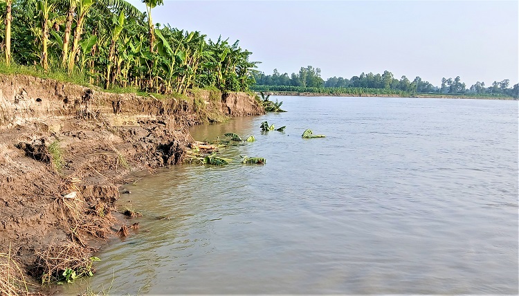 যমুনার ভাঙনের আশঙ্কায় কয়েকটি শিক্ষাপ্রতিষ্ঠানসহ পাঁচ শতাধিক পরিবার