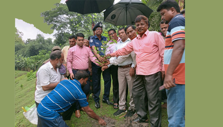 কালীগঞ্জে সামাজিক বনায়ন কর্মসূচির উদ্বোধন 