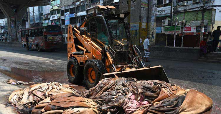 ৯১ লাখ পশু কেরাবানি হলে চামড়া সংগ্রহ হয়েছে মাত্র ৫৭ লাখ