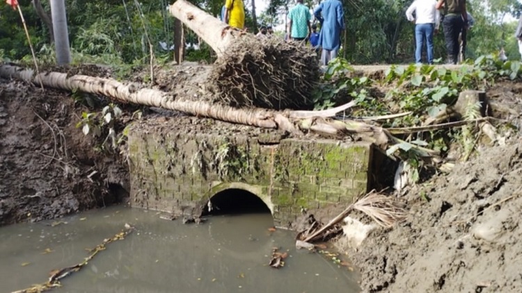 ৫০ বছর পর দখলমুক্ত হলো টাঙ্গাইলের একটি খাল