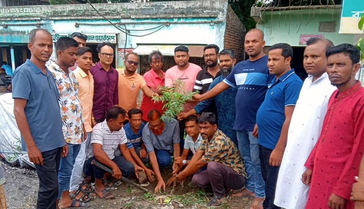 আদমদীঘি যুবদলের বৃক্ষরোপণ কর্মসূচি