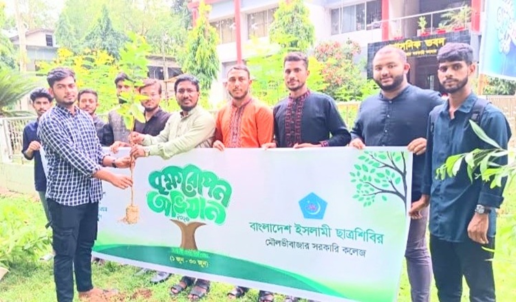 মৌলভীবাজার সরকারি কলেজ ক্যাম্পাসে ছাত্রশিবিরের বৃক্ষরোপণ কর্মসূচি