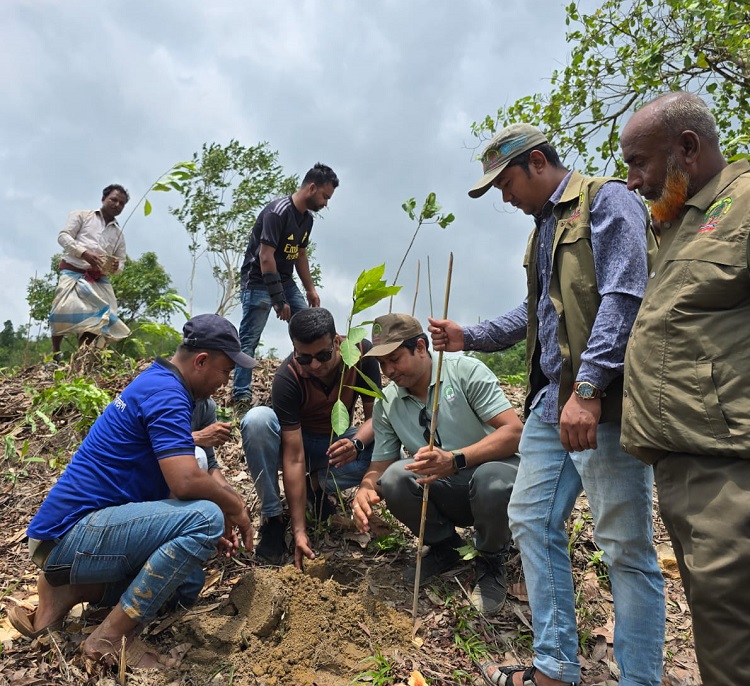 ঈদগাঁও-ফুলছড়িতে বেদখল বনভূমি পুনরুদ্ধারের পর করা হচ্ছে বৃক্ষরোপণ