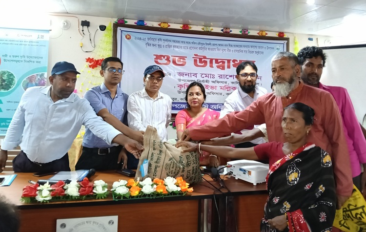 কালিয়ায় সার ও ধানবীজ পেল ১৫৪০ কৃষক