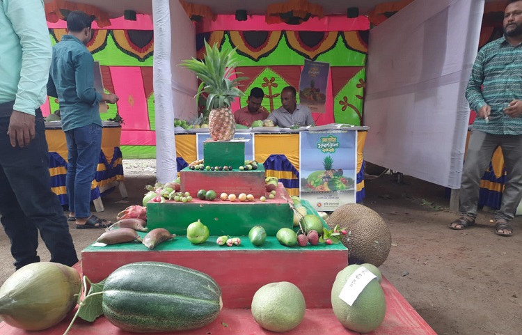 বকশীগঞ্জে জাতীয় ফল মেলা অনুষ্ঠিত