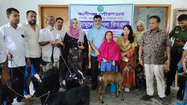 কালীগঞ্জে বিনামূল্যে ছাগল বিতরণ