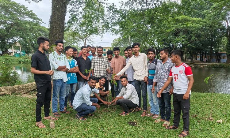 দিরাইয়ে কলেজ ছাত্রদলের বৃক্ষ রোপণ