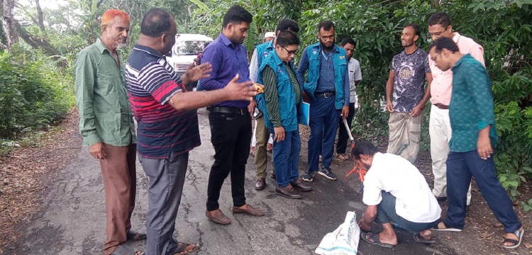 নলছিটিতে সড়ক সংস্কারে অনিয়ম, তদন্তে দুদক