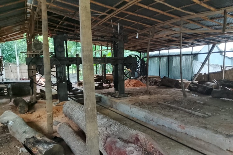 সালথায় করাতকলের শব্দে অতিষ্ঠ এলাকাবাসী