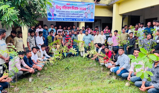মিরসরাইয়ে ছাত্রদলের বৃক্ষরোপণ কর্মসূচি