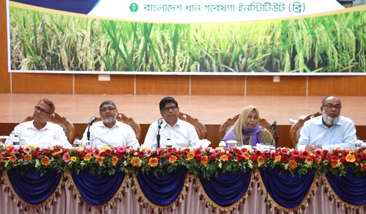 ব্রিতে এগিয়ে চলছে স্থানভিত্তিক ধানের জাত ও প্রযুক্তি উদ্ভাবন কার্যক্রম