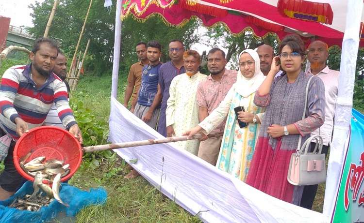 মুকসুদপুরে দেশীয় প্রজাতির পোনা মাছ অবমুক্ত