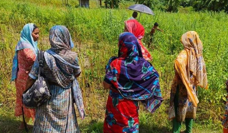 লোহাগড়ায় নারীর লাশ উদ্ধার