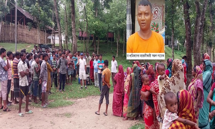 কুলাউড়ায় হয়রানির প্রতিবাদে চা-শ্রমিকদের অনশন!