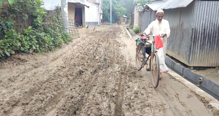 পোরশার জালুয়ার সড়কে যানবাহনসহ পথচারীদের দূর্ভোগ