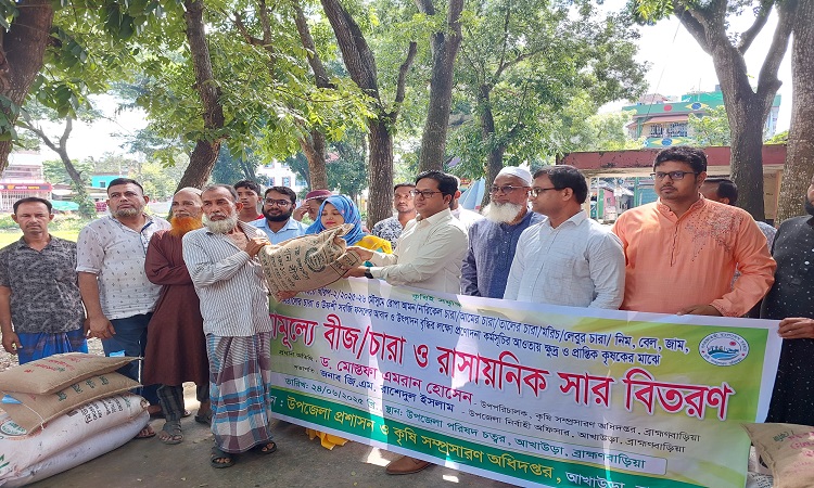 আখাউড়ায় বিনামূল্যে সার-বীজ চারা বিতরণ