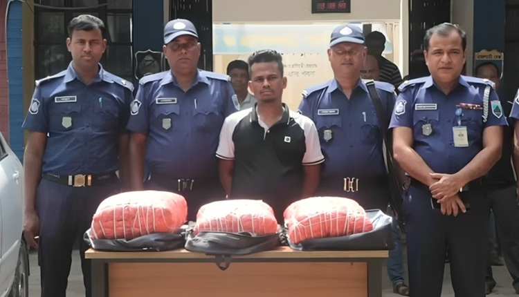 আটঘরিয়ায় গাঁজাসসহ আন্তজেলা মাদক কারবারি গ্রেফতার