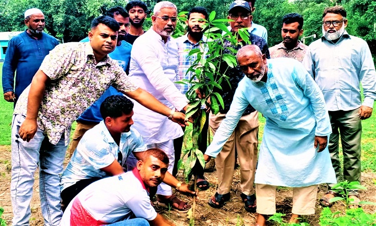 টাঙ্গাইলে পরিবেশ রক্ষায় শিক্ষাপ্রতিষ্ঠানে বৃক্ষরোপণ