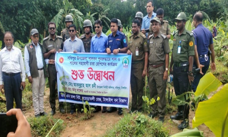 সখীপুরে যৌথ অভিযানে বন বিভাগের জমির উদ্ধার
