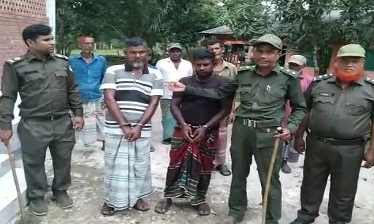 সংরক্ষিত বন বাগানের গাছ কেটে পাচারকালে কাঠসহ আটক ২