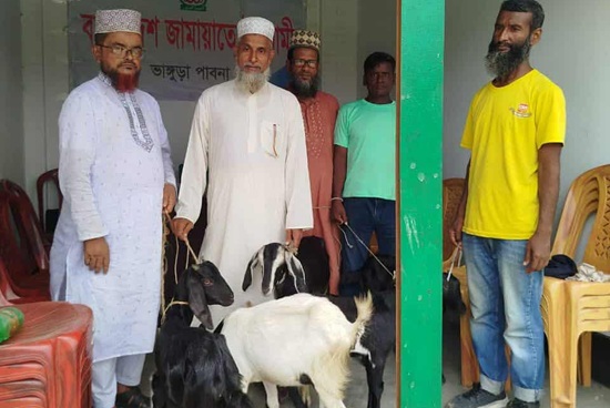 ভাঙ্গুড়ায় জামায়াতের ছাগল বিতরণ 
