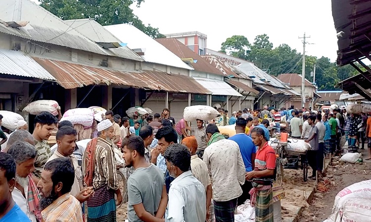 সালথায় পেঁয়াজের দামে ধস, লোকসানে চাষিরা