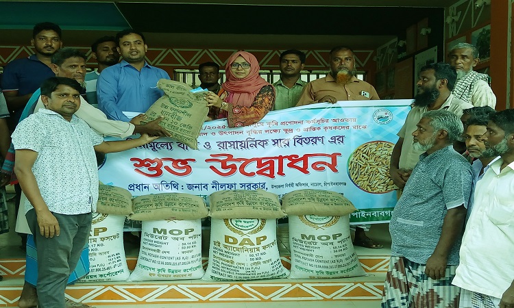 নাচোলে বিনামূল্যে বীজ ও সার বিতরণ
