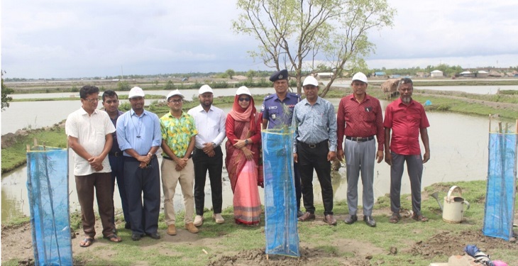 পাইকগাছায় বিশ্ব পরিবেশ দিবস উপলক্ষে চারা রোপণ
