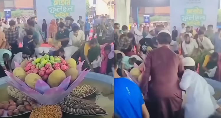 রাজধানীতে জাতীয় ফল মেলার শেষ দিনে লুটপাট, ভিডিও ভাইরাল