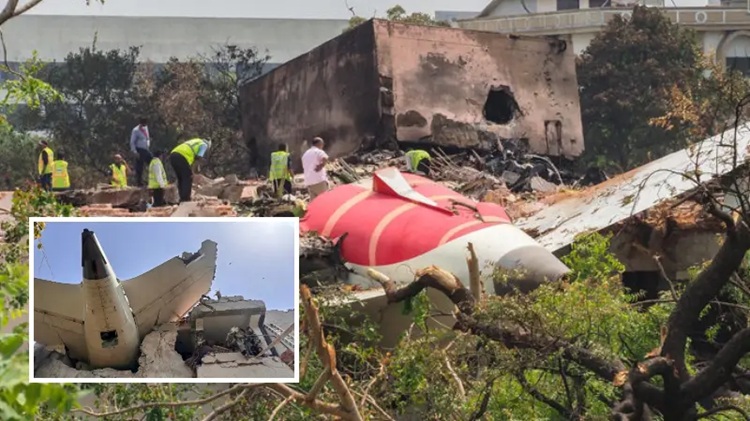 প্রেমে প্রত্যাখ্যাত, প্রতিশোধে এয়ার ইন্ডিয়া বিধ্বস্তের দাবি নারী প্রকৌশলীর